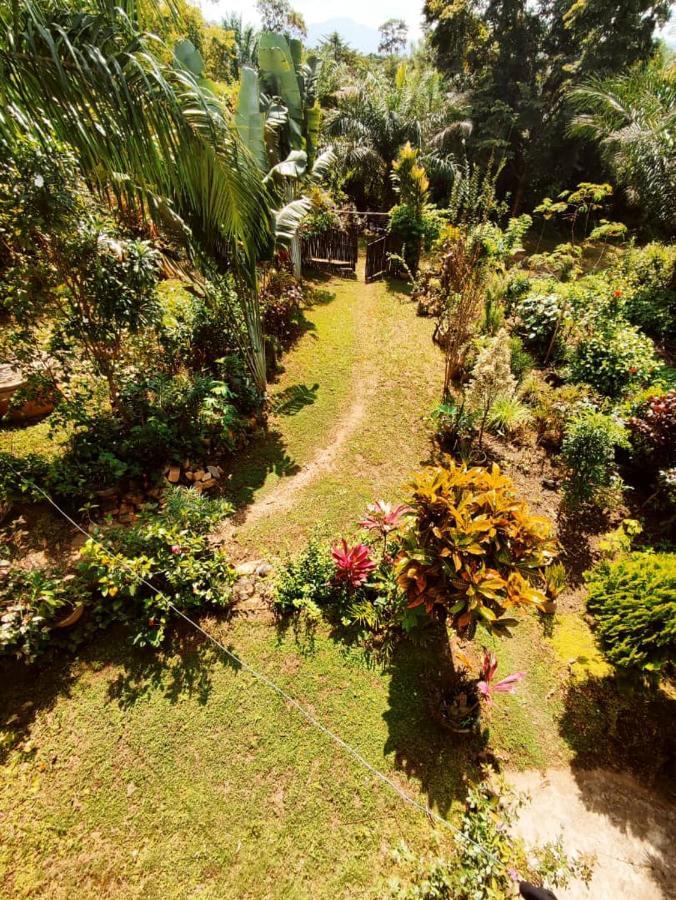 Maison Au Calme Dans La Nature Palimé Exterior foto