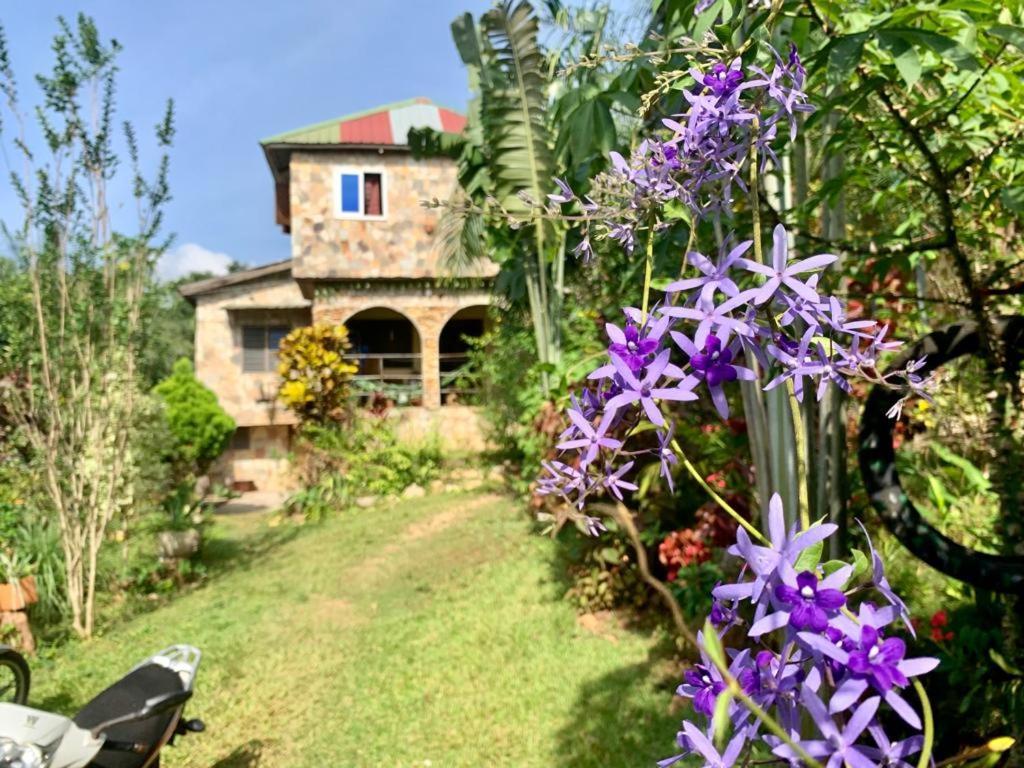 Maison Au Calme Dans La Nature Palimé Exterior foto